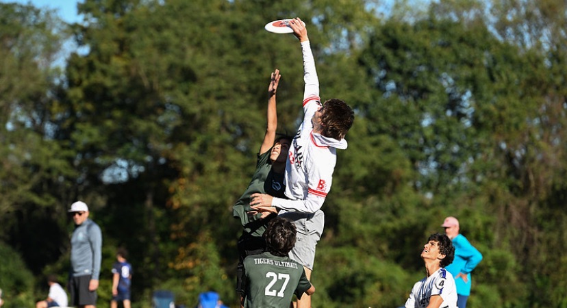 Season gallery preview