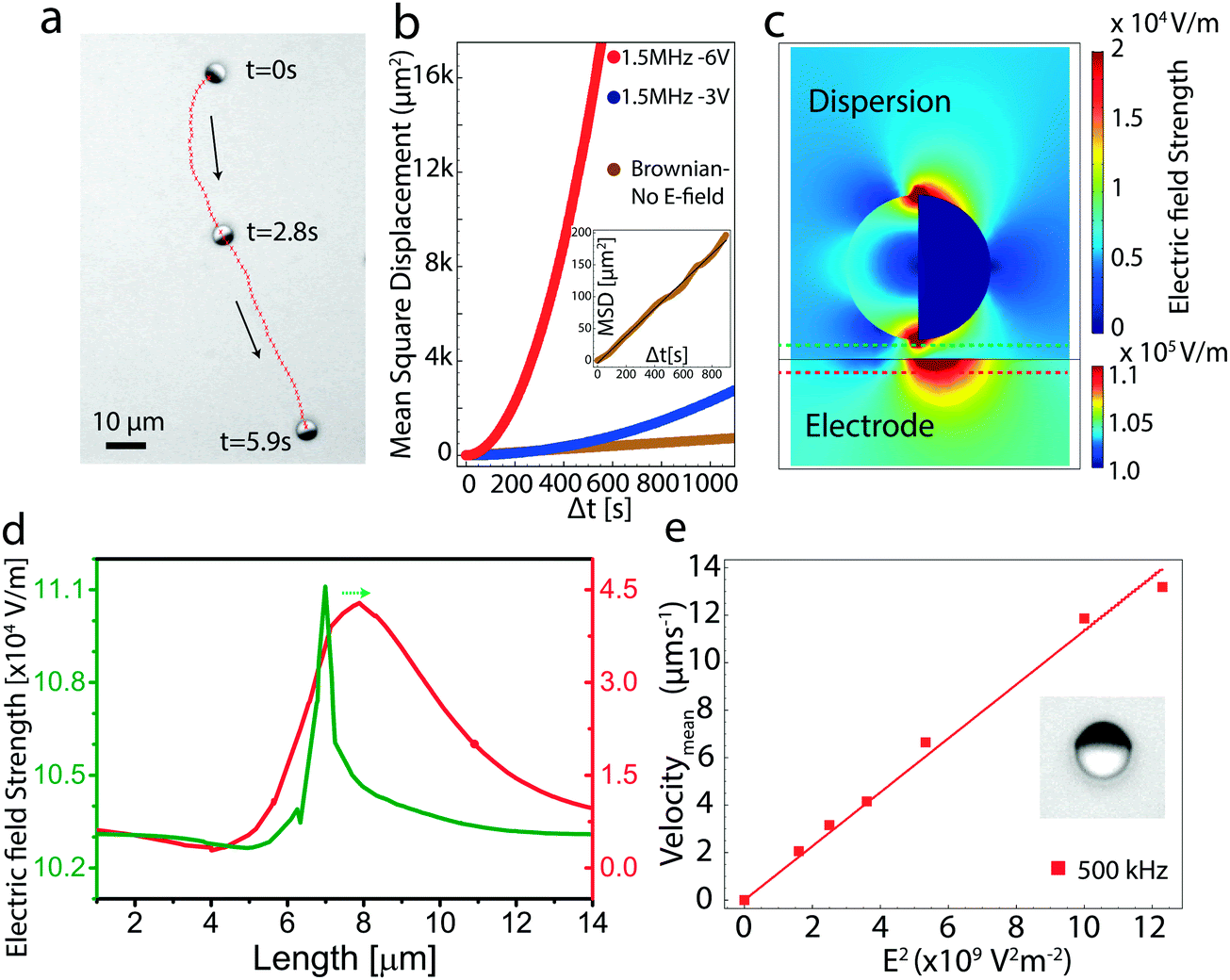 Students conducting lab research
