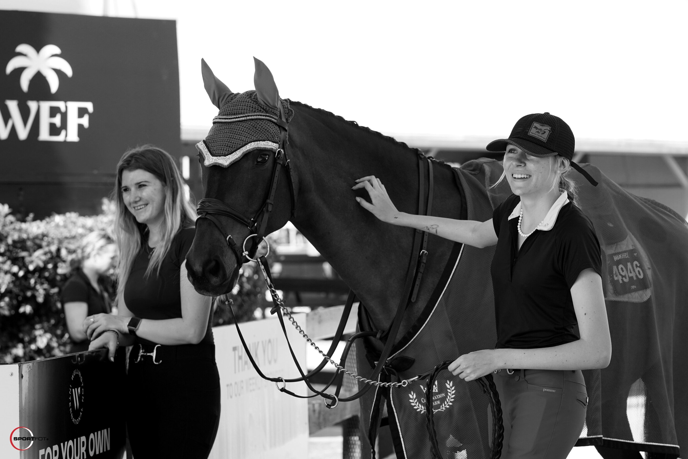 Empire Performance Horses team with horses at the facility
