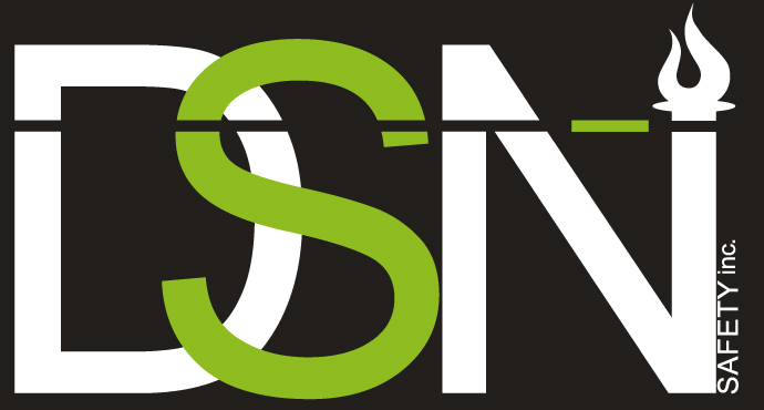 DSN Safety Inc. logo
