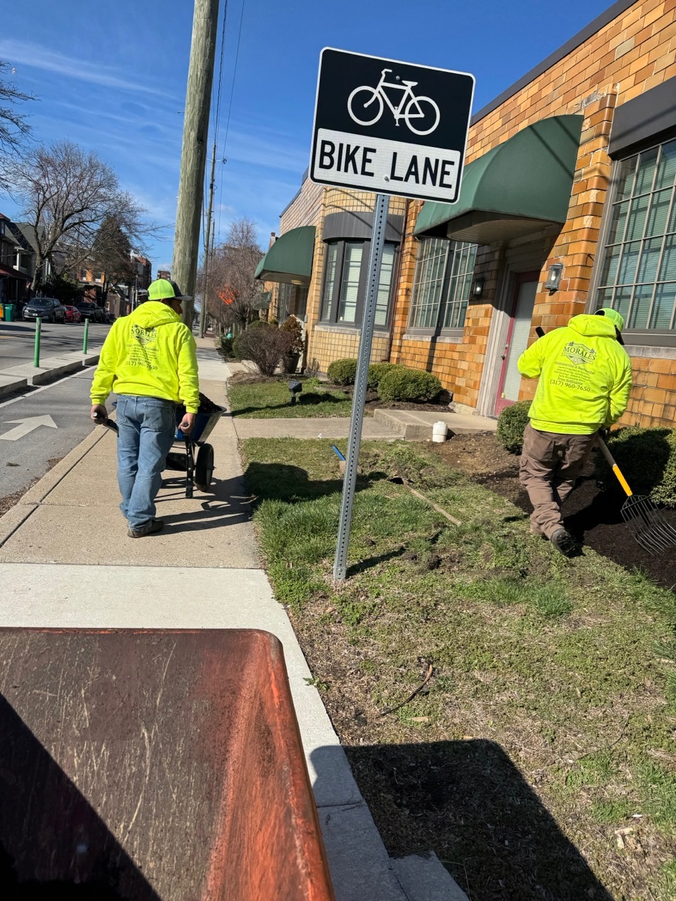 Colorful garden flowers