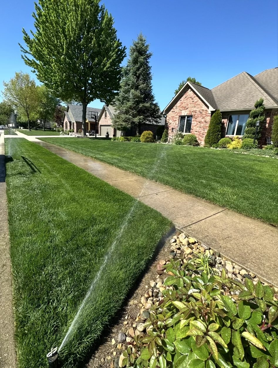 Garden design with flowers and pathways