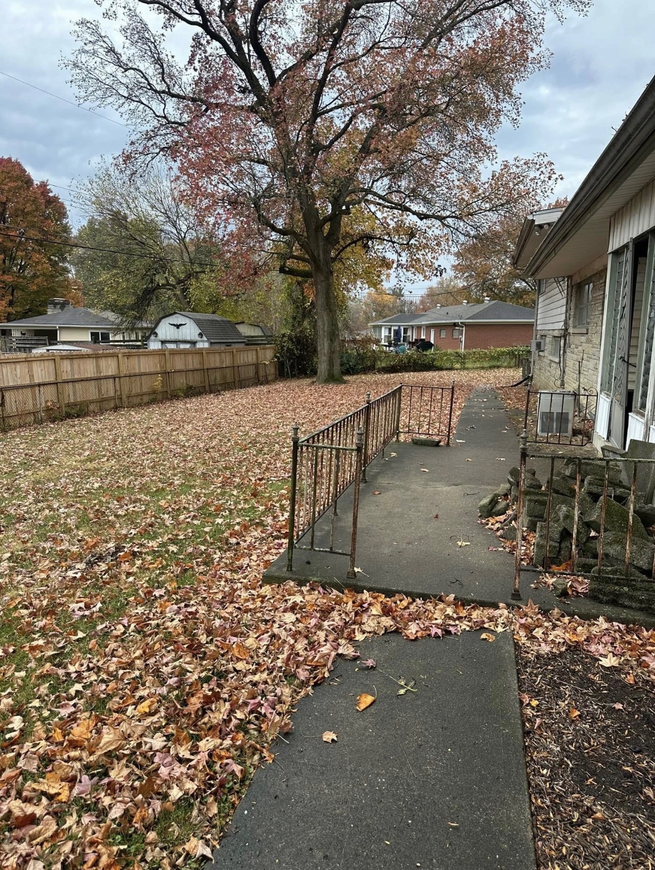 Overgrown lawn before