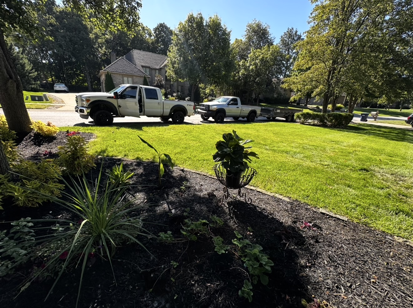 Garden design with flowers and pathways