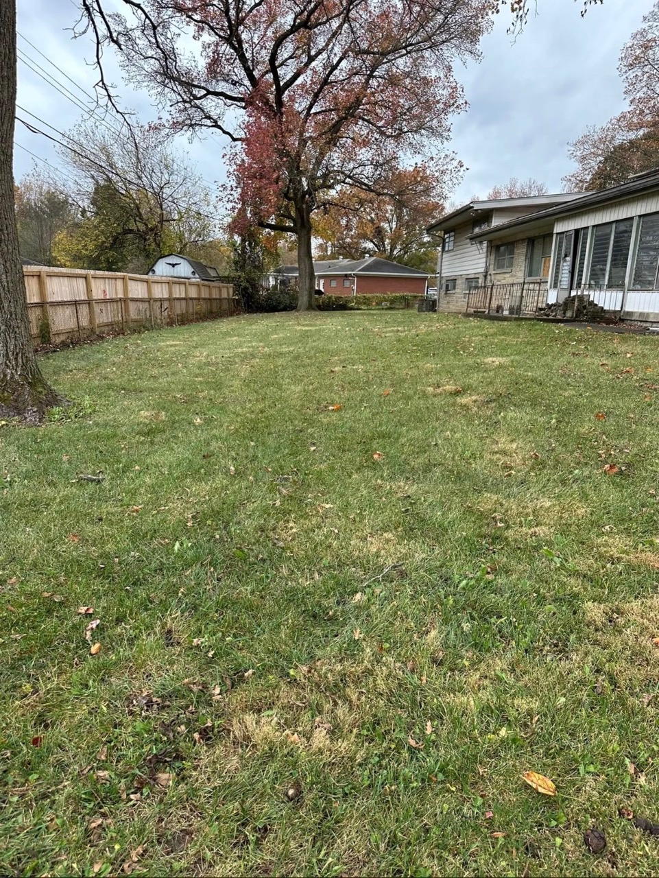 Freshly maintained lawn after