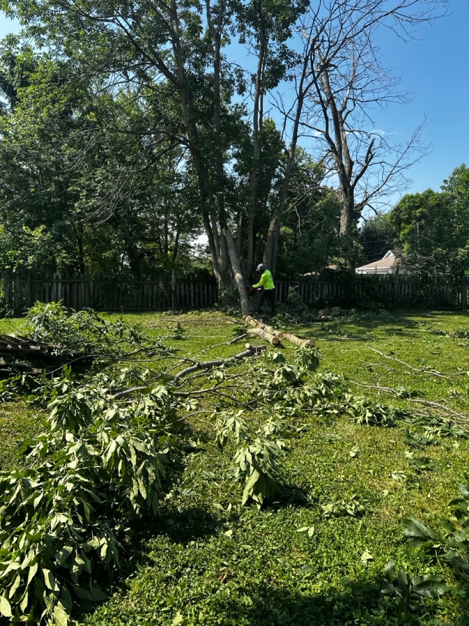 Landscaping team at work