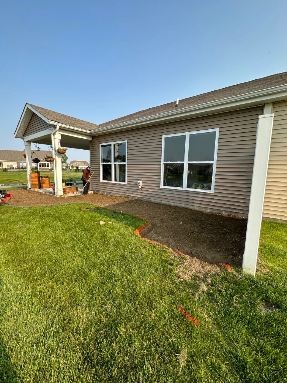 Overgrown hedges before