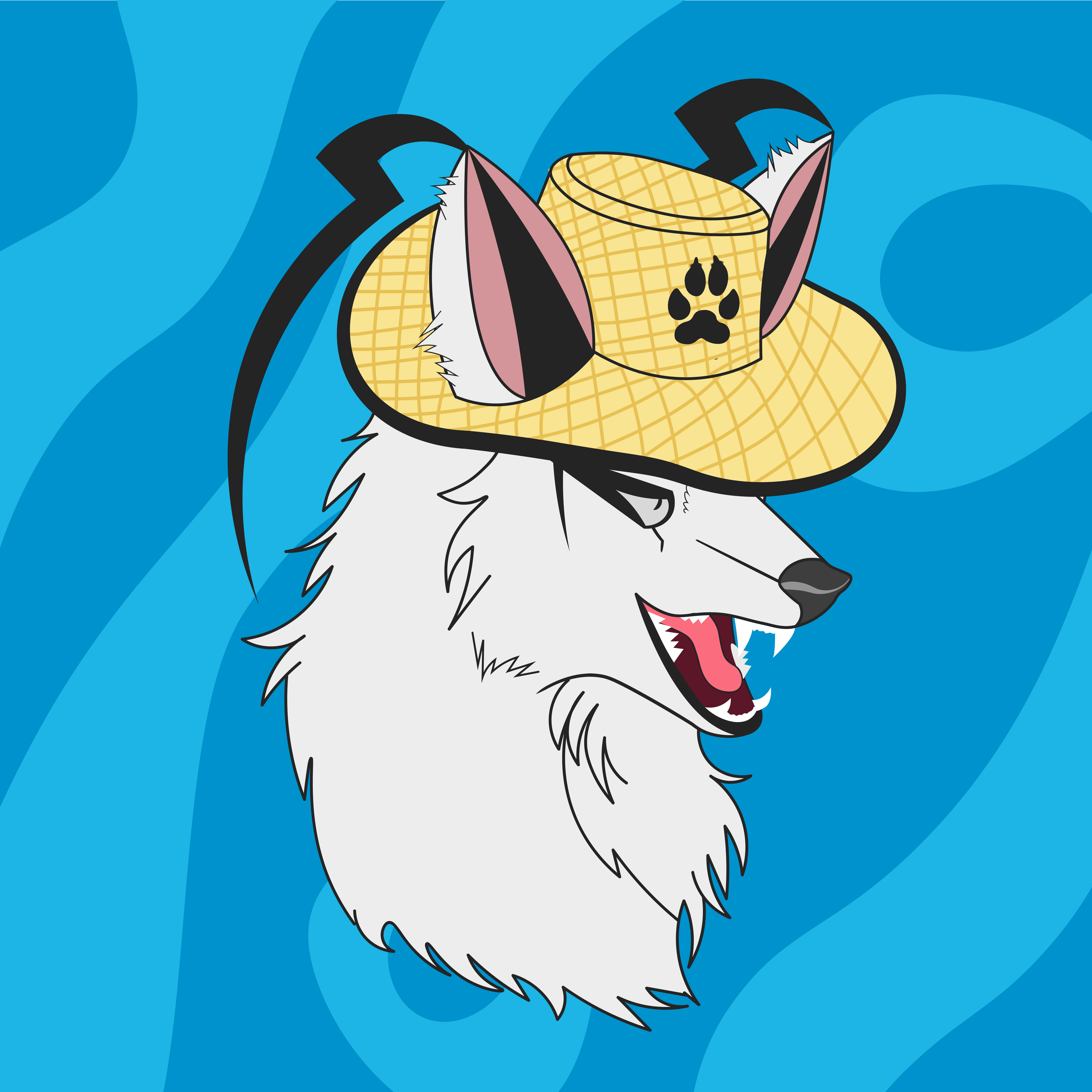 Zorz Logo
