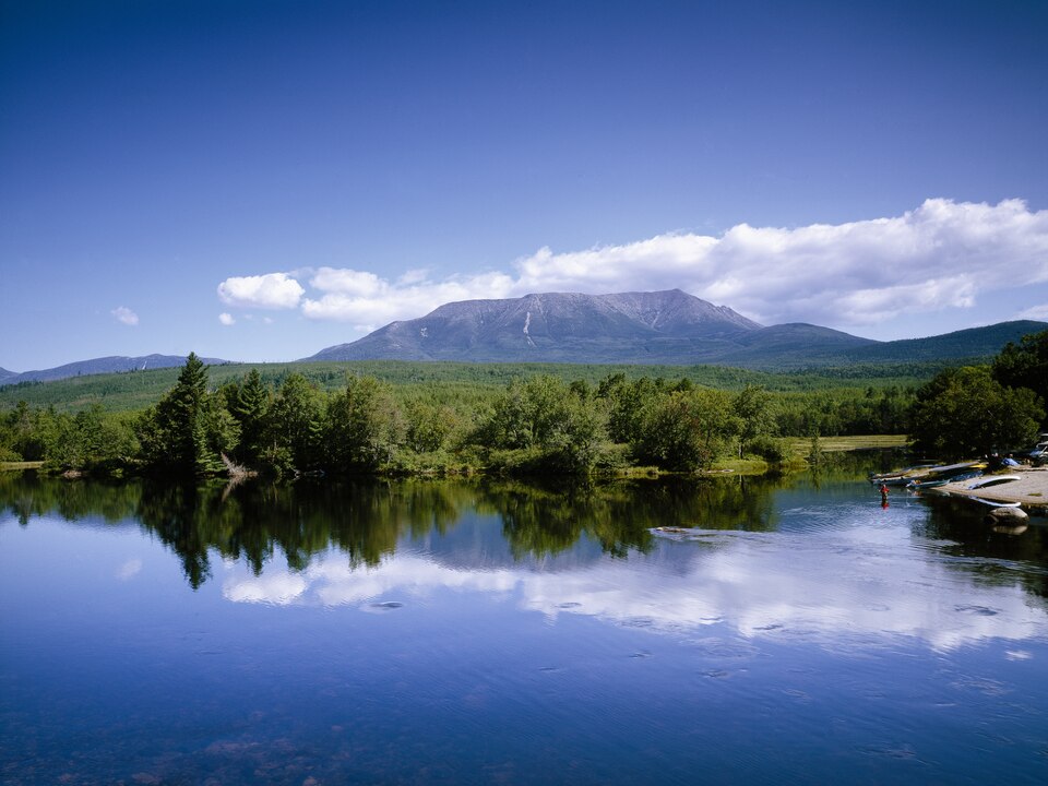 Mountain landscape with evergreen trees and autumn foliage